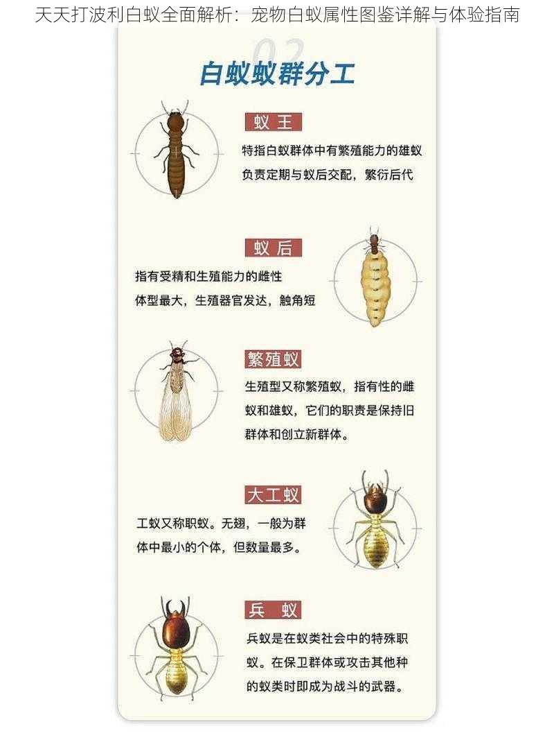 天天打波利白蚁全面解析：宠物白蚁属性图鉴详解与体验指南