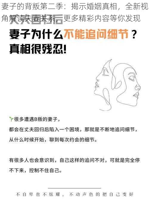 妻子的背叛第二季：揭示婚姻真相，全新视角解读夫妻关系，更多精彩内容等你发现