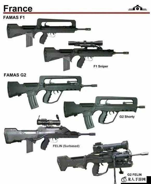 《生死2：FAMAS配件选择攻略——法玛斯最佳配件搭配指南》